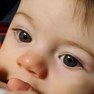 Meet your Posher, Nick